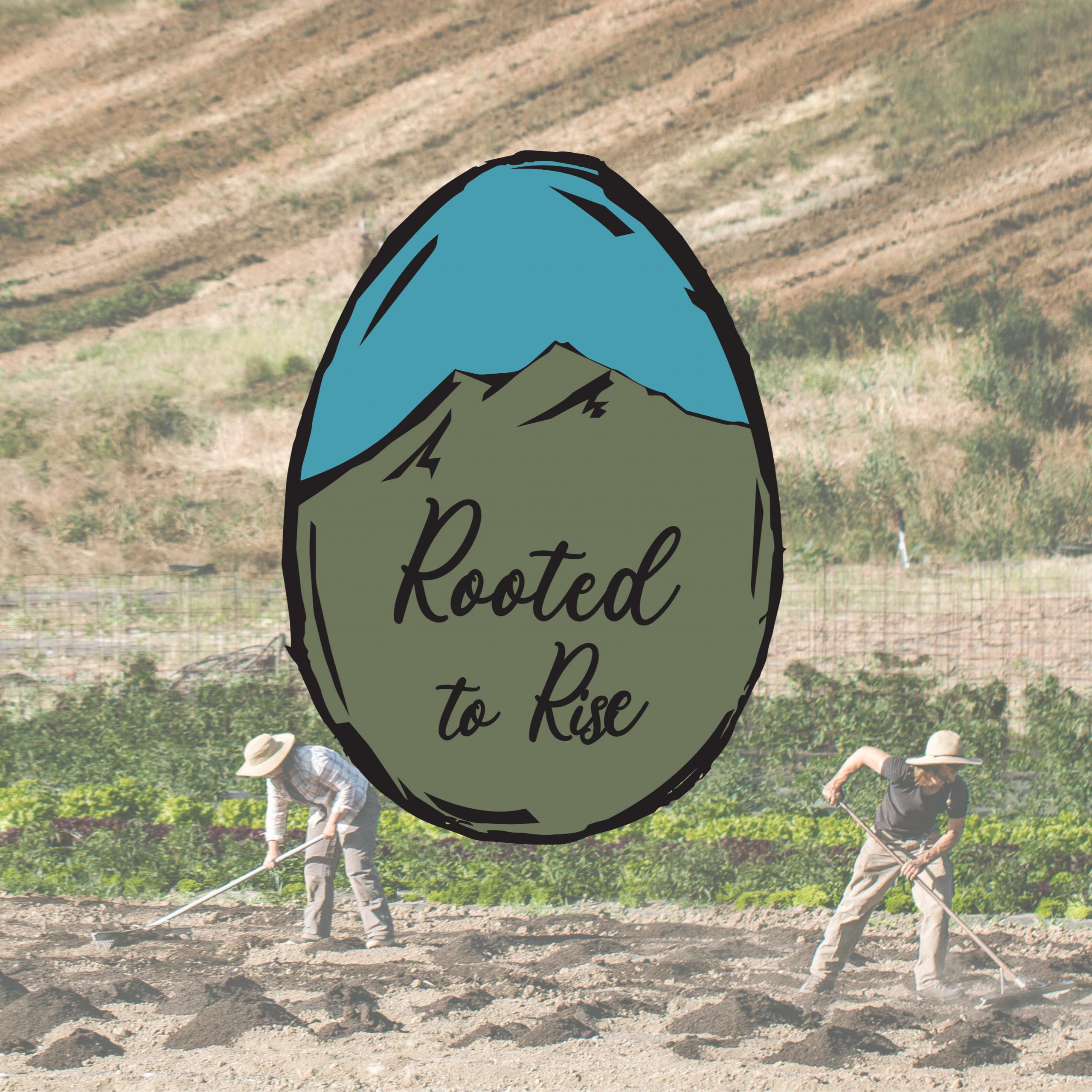 Rooted to Rise: Working Lands Economic Master Plan