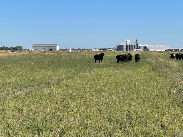 Colusa USDA and CDFA Certified Meat Processing Facility